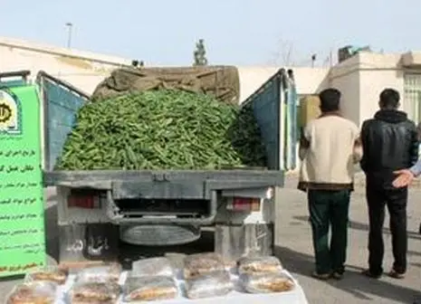   زمان دسترسی به مواد مخدر چقدر است؟