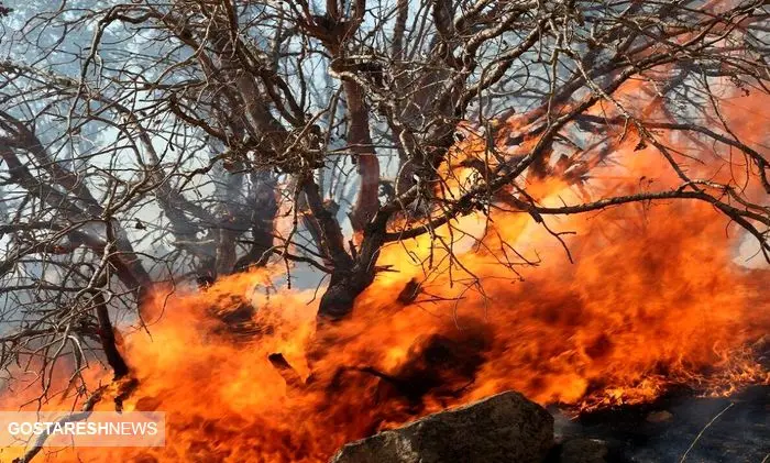 آتش‌سوزی در جنگل یک شهر را تخلیه کرد