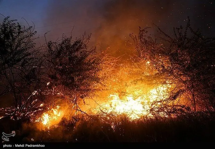 ادامه آتش‌سوزی‌های سریالی و مشکوک در زاگرس
