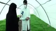 تولید علوفه بدون نیاز به خاک در ایران! + فیلم