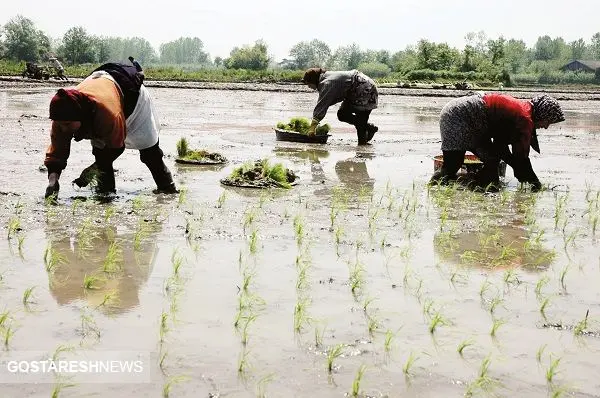 ضرورت همسویی با اقلیم نوین