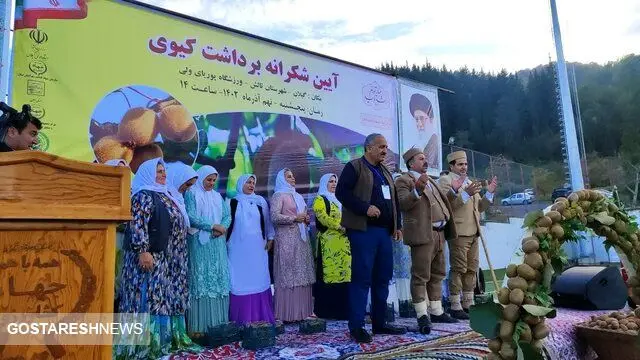 این استان پایتخت تولید کیوی در ایران است / برای ۳ هزار نفر اشتغالزایی شد
