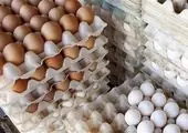 قیمت هر شانه تخم‌مرغ چند؟