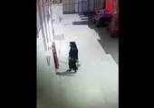 لحظه دزدی دختر تهرانی از پارکینگ یک خانه +‌ فیلم