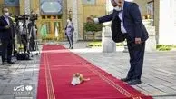 گربه ملوس روی فرش قرمز وزارت خارجه حاشیه ساز شد + عکس