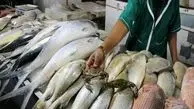 قیمت به روز انواع ماهی (۱۸ شهریور)