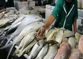 قیمت جدید ماهی در بازار + جدول