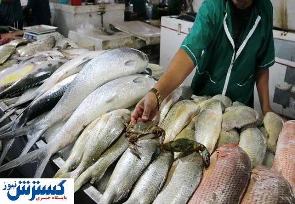 قیمت انواع ماهی در بازار چند؟