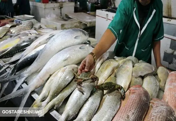 صادرات میگو و ماهی کاهش می‌یابد؟