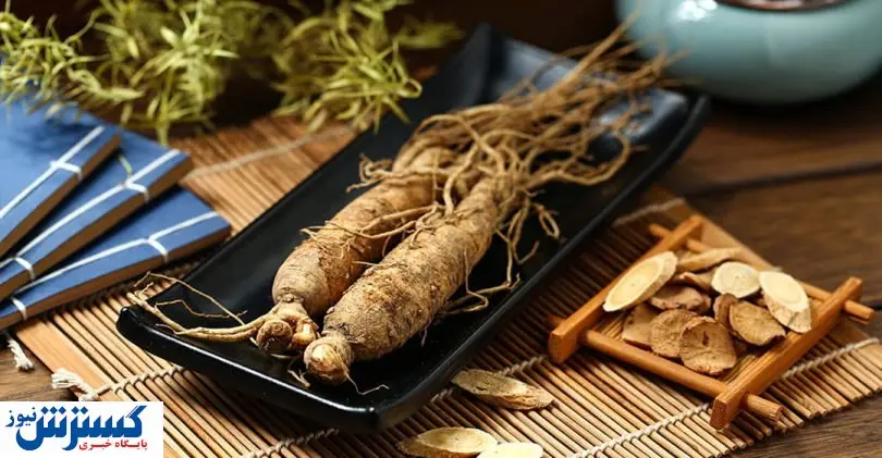 با خواص و طریقه مصرف جینسینگ آشنا شوید