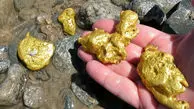 کشف ۱۰ معدن طلای جدید در این کشور