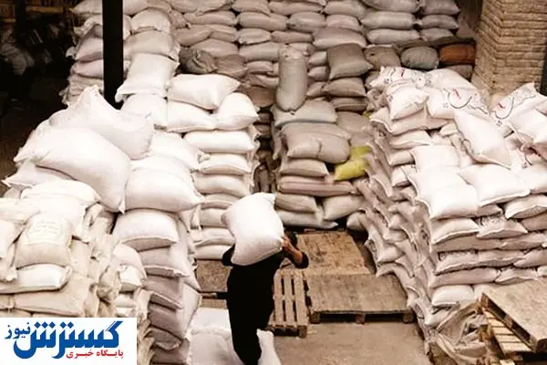 واردات برنج؛ تیشه به ریشه برنجکاران میزند