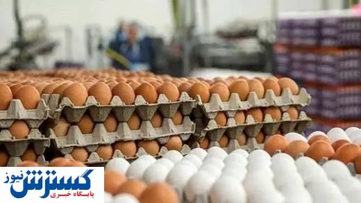 قیمت مصوب تخم مرغ اعلا شد