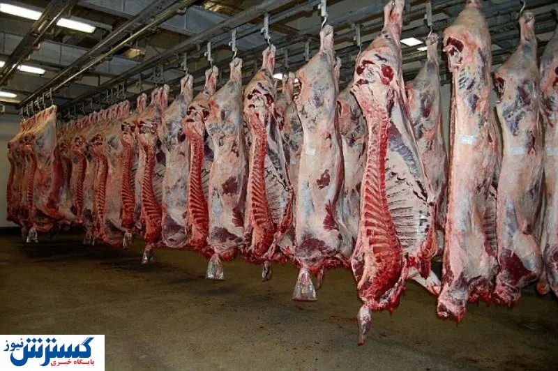 حواشی اعزام کارشناسان ذبح حلال به خارج