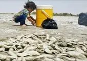 افت ۵۰ درصدی آورد آب در پشت سدهای خوزستان