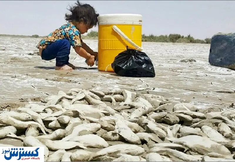 فجایع زیست محیطی در تالاب هورالعظیم