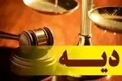  پرداخت دیه توسط سازمانهای بیمه گر سرعت گرفت