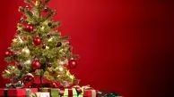 قیمت انواع درخت کریسمس در بازار + جدول