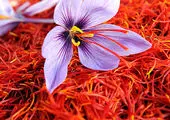 راهنمای کامل خرید زعفران اصل از کشاورز