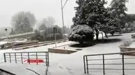فیلمی از اولین برف زمستانی در تهران