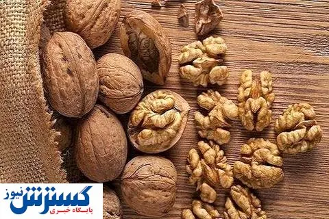 خطر در کمین بازار گردو / واردات ضروری می شود؟
