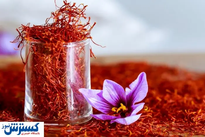 طلای سرخ 200 میلیونی شد | کمبود آب غوغا کرد