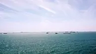 اکوسیستم خلیج‌فارس در مسیر زوال