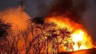 آتش بازهم به جان جنگل‌های کهگیلویه و بویراحمد افتاد
