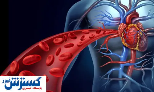 برای سلامت رگ‌ها چه بخوریم؟