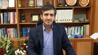 ۳۷ میلیون تن ذخیره قطعی معادن فلزی استان زنجان