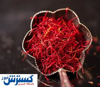 زعفران در بازار چند؟ + جدول