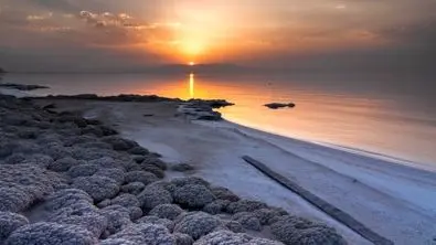 شرط احیای جِگرگوشه ایران اعلام شد؛ آخرین فرصت برای نجات