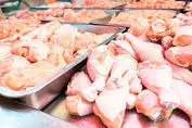 آخرین وضعیت تولید مرغ در کشور / گرانی مرغ در راه است؟