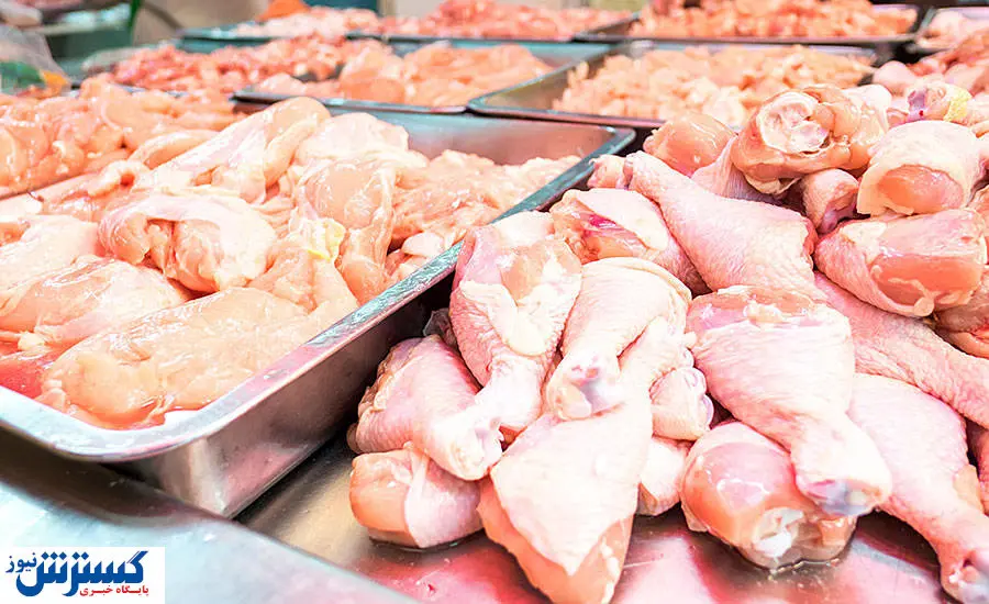 افشای پشت پرده گرانی مرغ؛ 2 قوه کشور وارد جنجال اخیر شدند