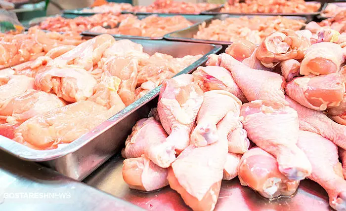پیش بینی قیمت مرغ تا پایان تیر ماه | ران مرغ چند شد؟