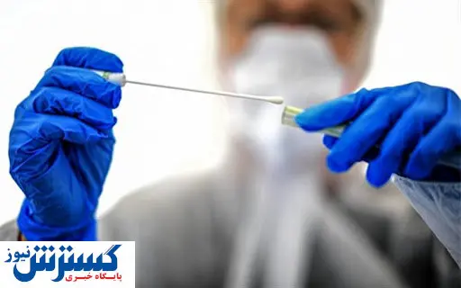 تست های رپید کرونا در راه است