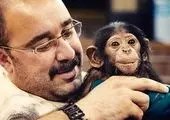 وقوع فاجعه برای شامپانزه‌های باغ وحش تهران + فیلم