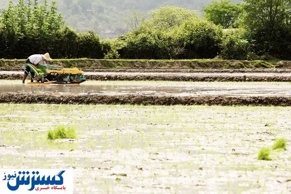 کشاورزی، تشنهترین صنعت ایران