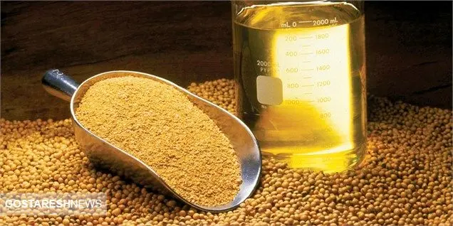 صنعت روغن نباتی جان می‌گیرد