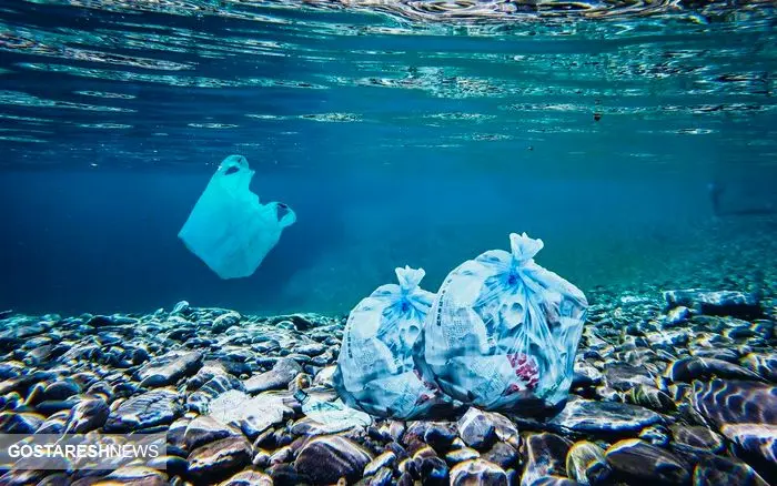پلاستیک بلای جان محیط زیست / همه در خطر هستند