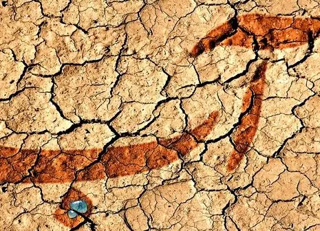 کشاورزی ایران در تنگنای آب، برق و کود | ارزآوری نابود می شود؟