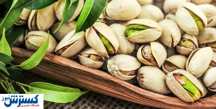 قیمت پسته نجومی می شود | ضربه سنگین قطعی برق به تولید کنندگان!
