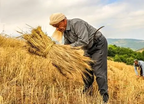 سقف پرداخت خسارت حوادث ساختمانی در سال ۱۴۰۳ اعلام شد