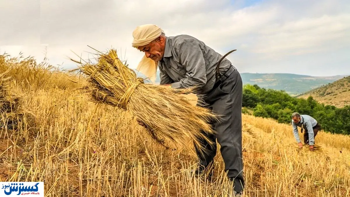 سموم دفع آفات نباتی از امروز ثبت سفارش می شود