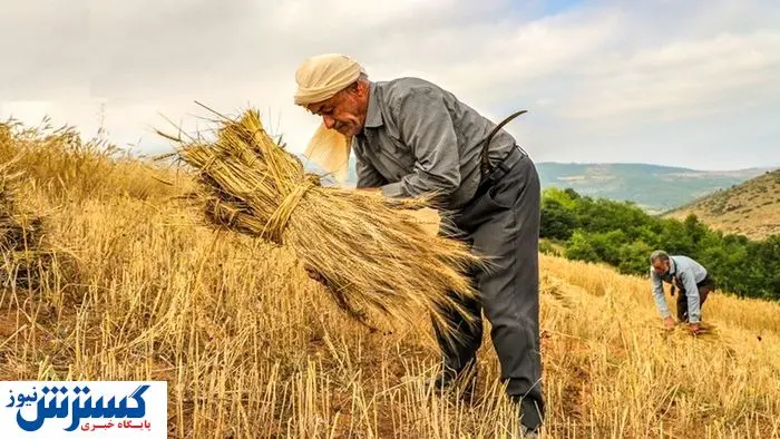 سموم دفع آفات نباتی از امروز ثبت سفارش می شود