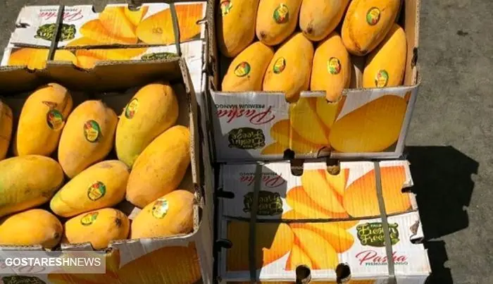 ریزش ۲۱۵ هزار تومانی قیمت این میوه در بازار!