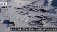 نجات ۲ چوپان گرفتار در کولاک زنجان + فیلم