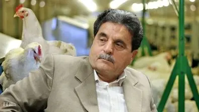 مرغ ارزان شد