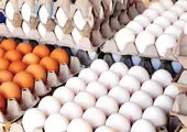 فوری / قیمت جدید تخم مرغ بسته بندی شده اعلام شد