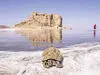  ایران چشمش را از دست داد